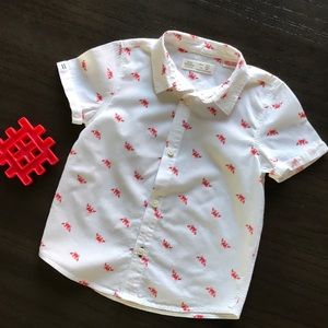 Zara Baby Boy Short Sleeves Shirt
